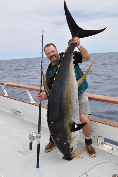 305 yellowfin tuna