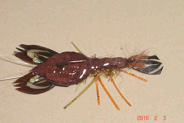 Crayfish fly