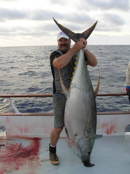 261 lb yellowfin tuna
