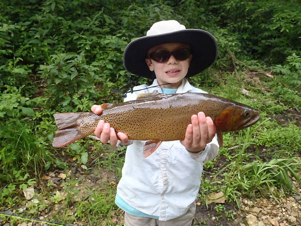 Son's First Cutthroat on First Fly Rod Build