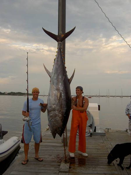 Giant Tuna on Custom Rod