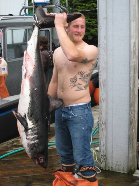 127 lb Salmon Shark