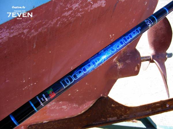 Deep Water - 3,00m one piece boat fishing rod - graphic