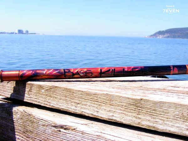 Sea Bass Spinning rod - graphic