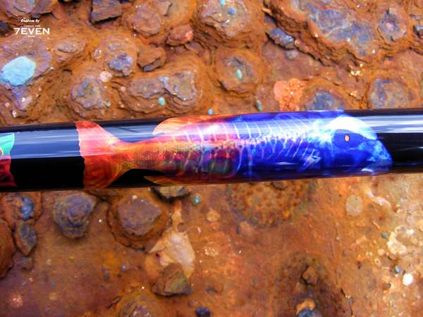 American tackle ATX blank converted in a Snapper rod - graphic1