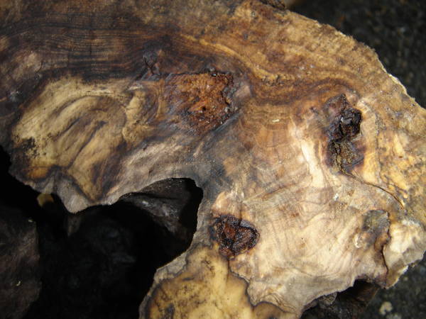 Wood and colours_1
