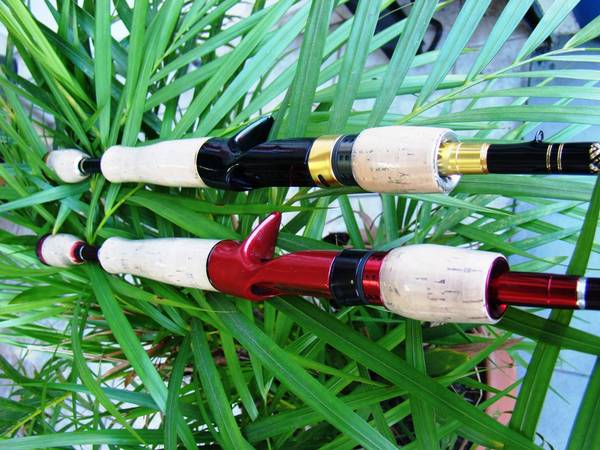 Rods for Peacok Bass