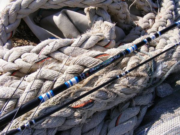 blue and silver boat fishing rod