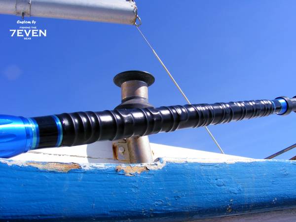 Deep Water - 3,00m one piece boat fishing rod - grip