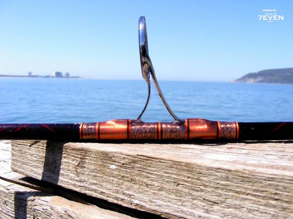 Sea Bass Spinning rod - guide